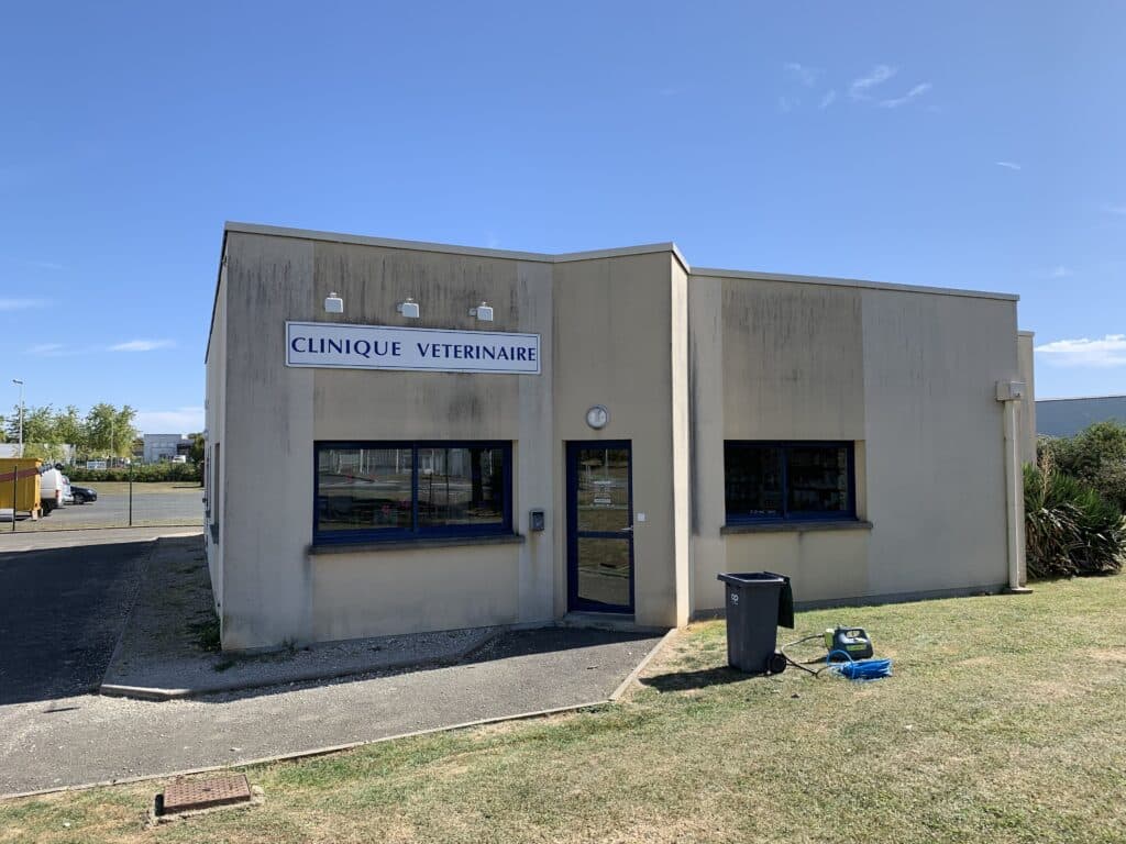 Extérieur d'une clinique vétérinaire sous ciel bleu. Bâtiment beige avec enseigne "CLINIQUE VETERINAIRE", fenêtres bleues, pelouse sèche, parking.
