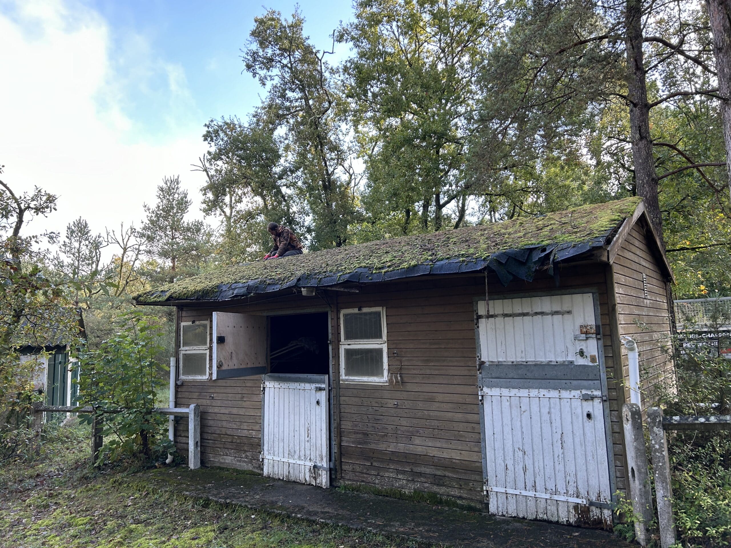 Un homme en tenue camouflage répare un toit de cabane en bois envahi de mousse, sous un ciel bleu et des arbres verts.